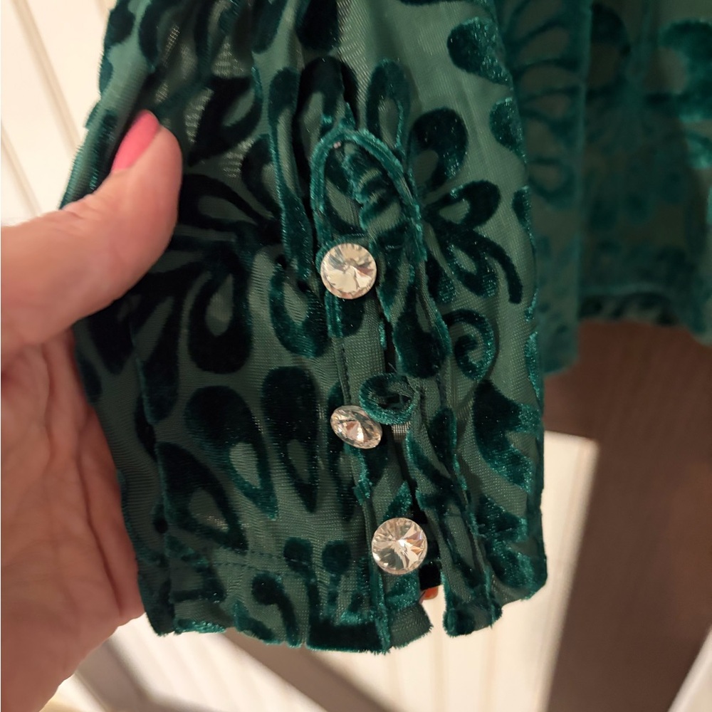 Soft Surroundings Small Burnout Green Velvet Turtle Neck Lined Top - Picture 2 of 10